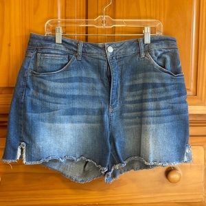 Time and Tru size 18 Jean Shorts
